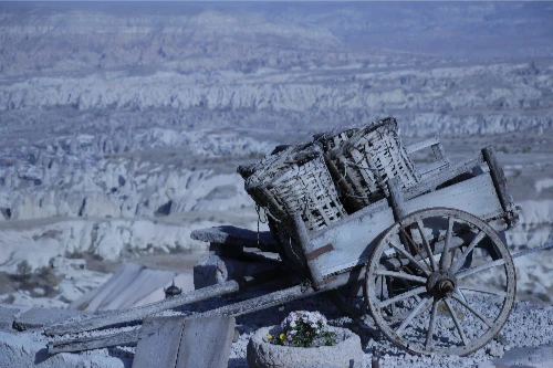 A Carne da Alma-STILL