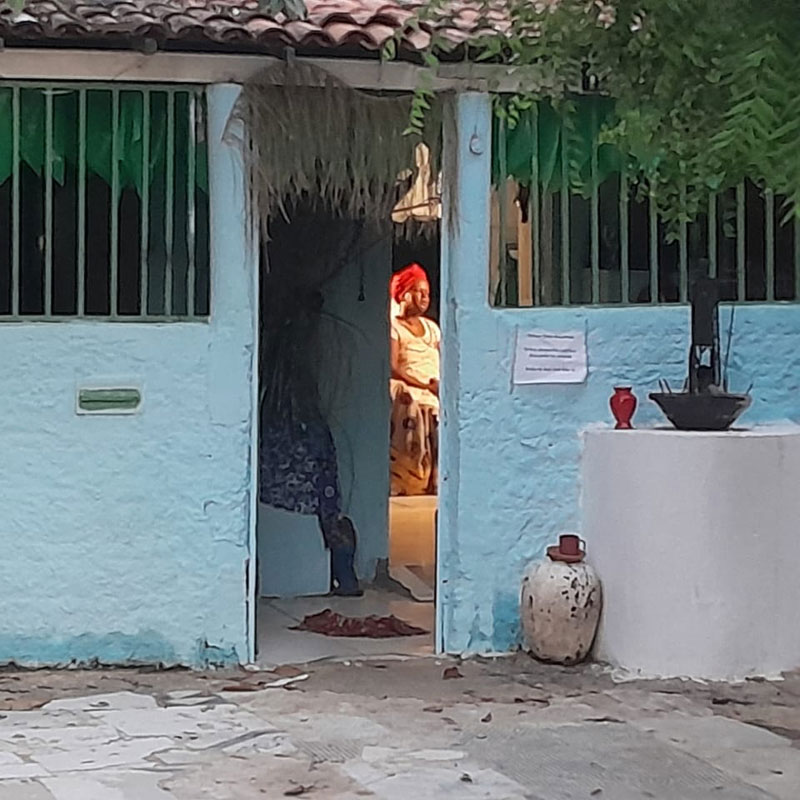 Negras-Medicinas-STILL